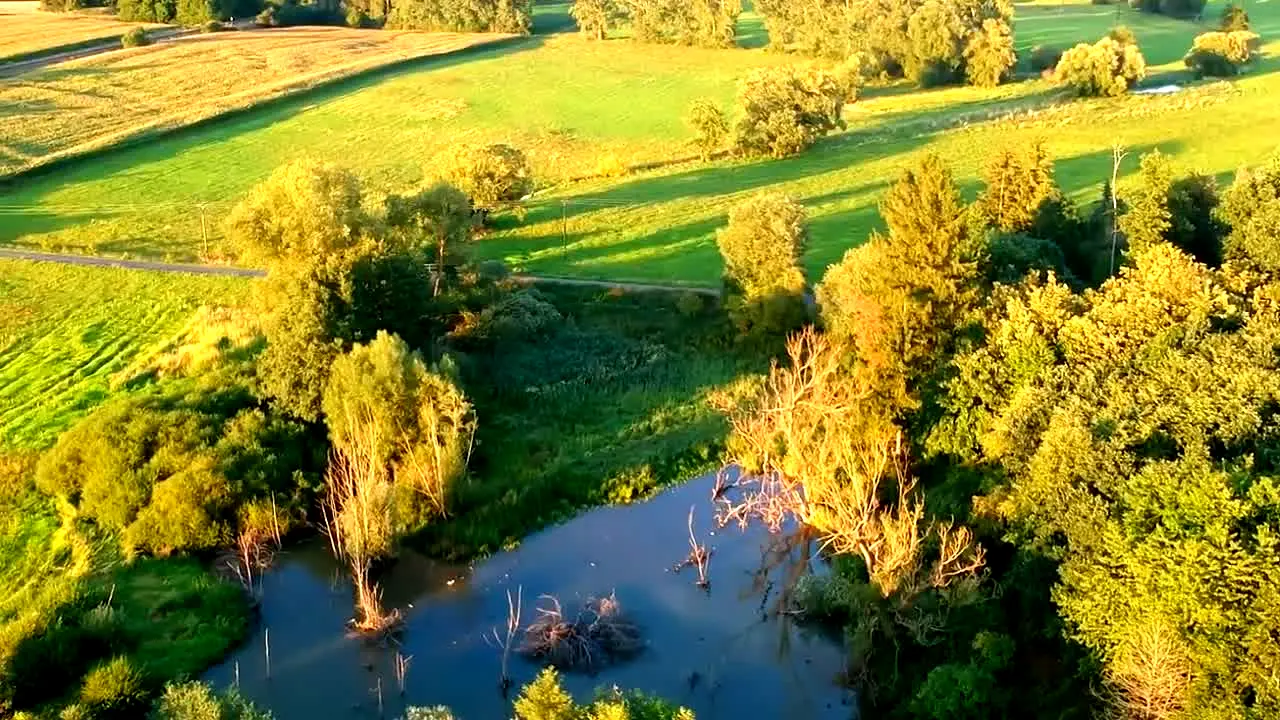 just.fishing live