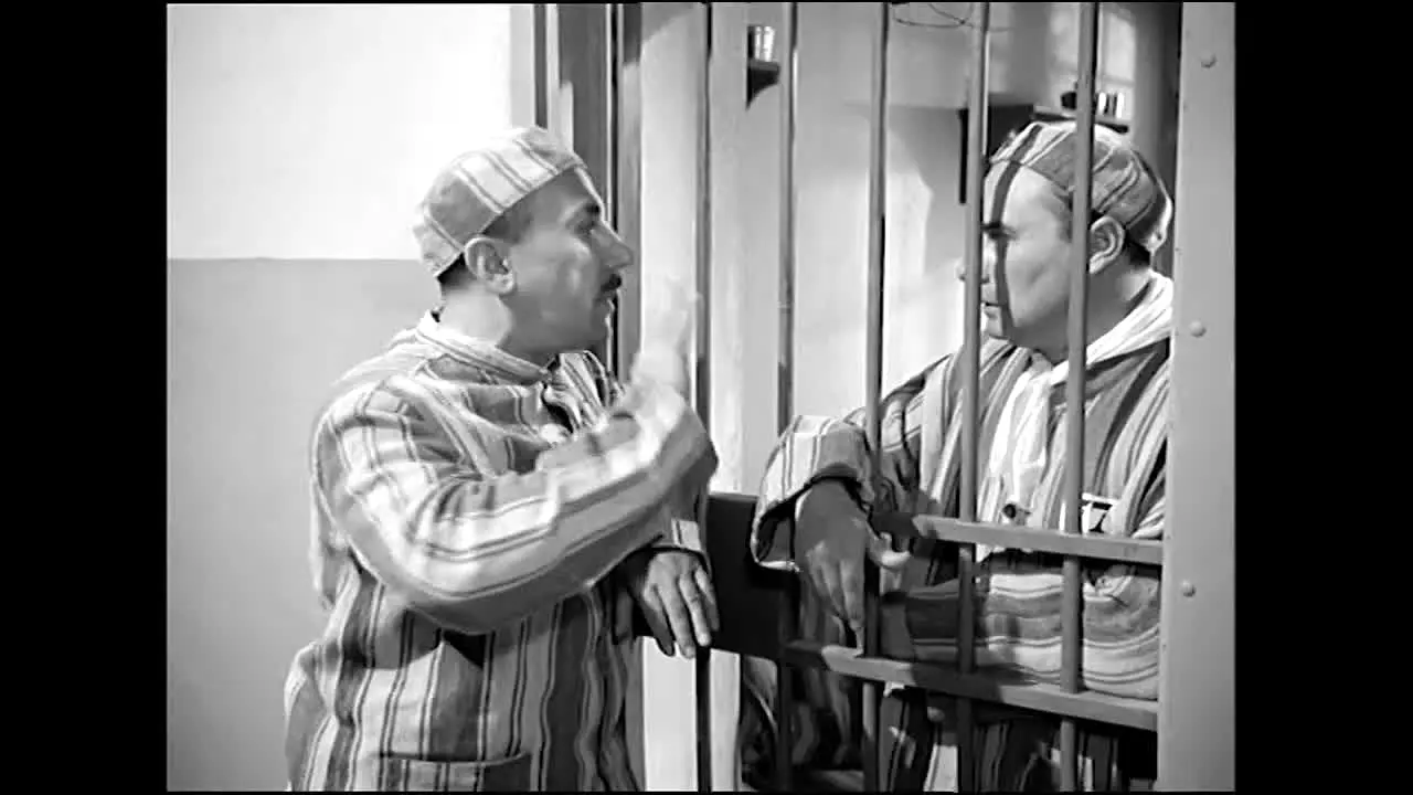 CG Cine Mania in diretta