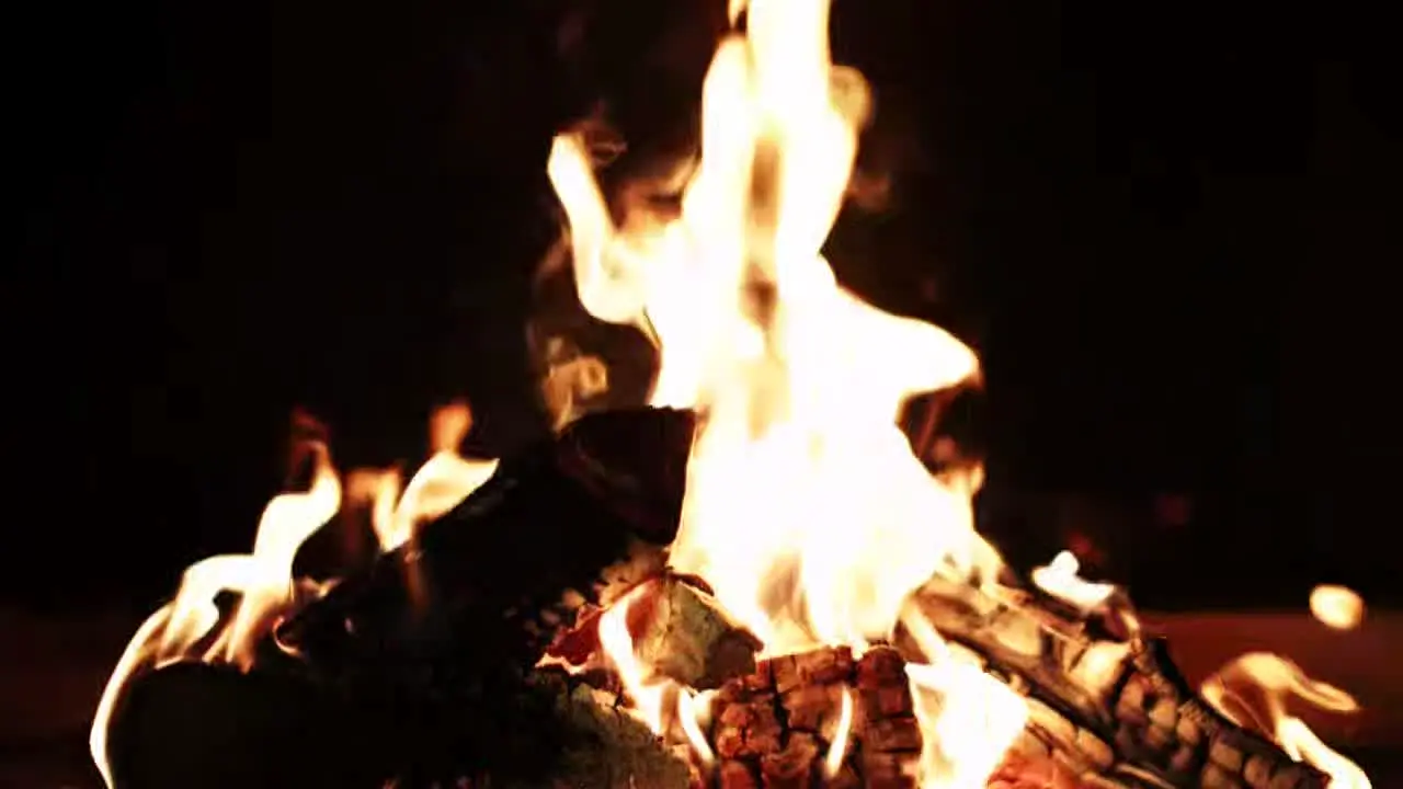 Fireplace live