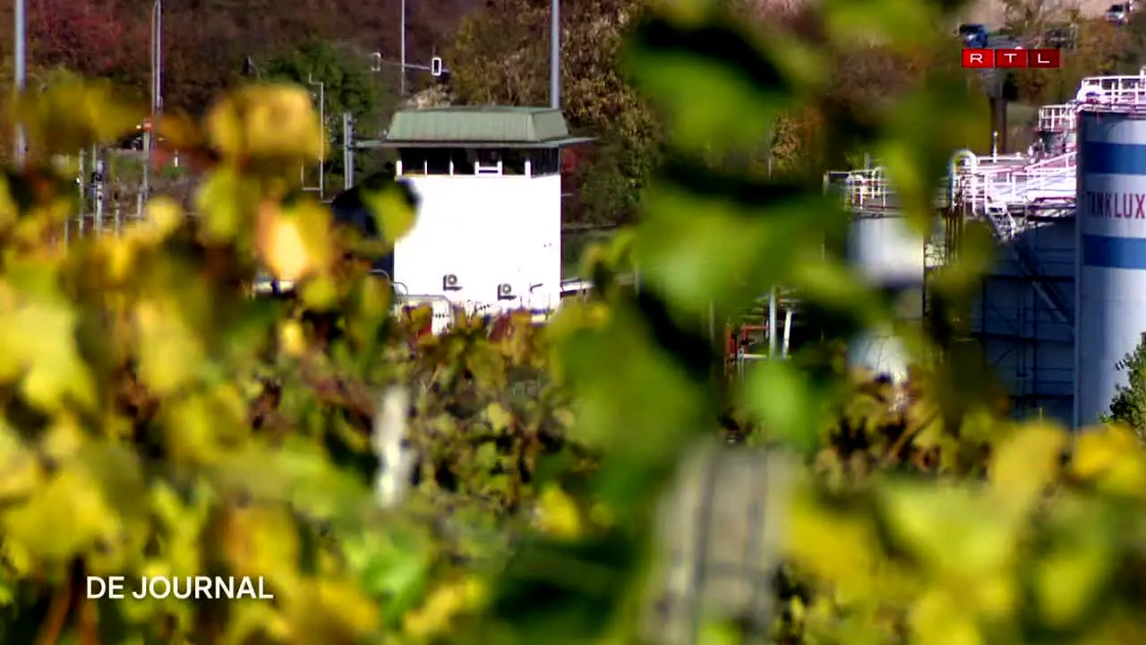 RTL Télé Lëtzebuerg live