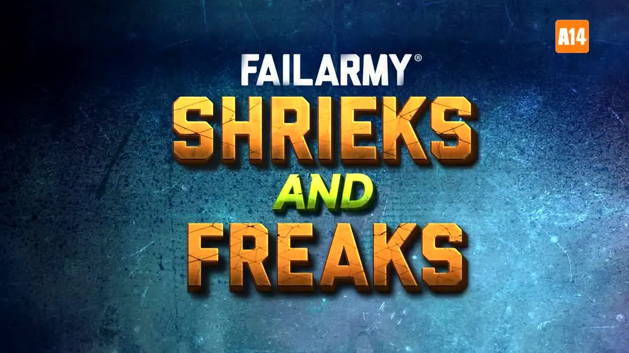 Failarmy International live