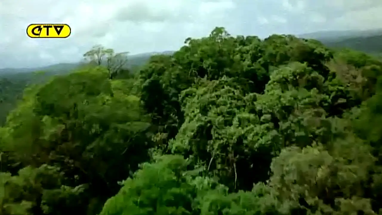 Catatumbo TV live
