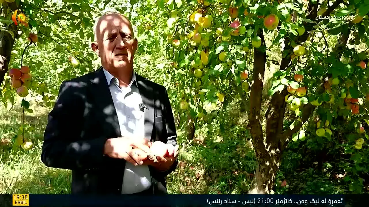 Kurdistan TV en direct