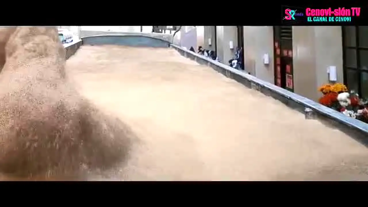 Cenovision ao vivo