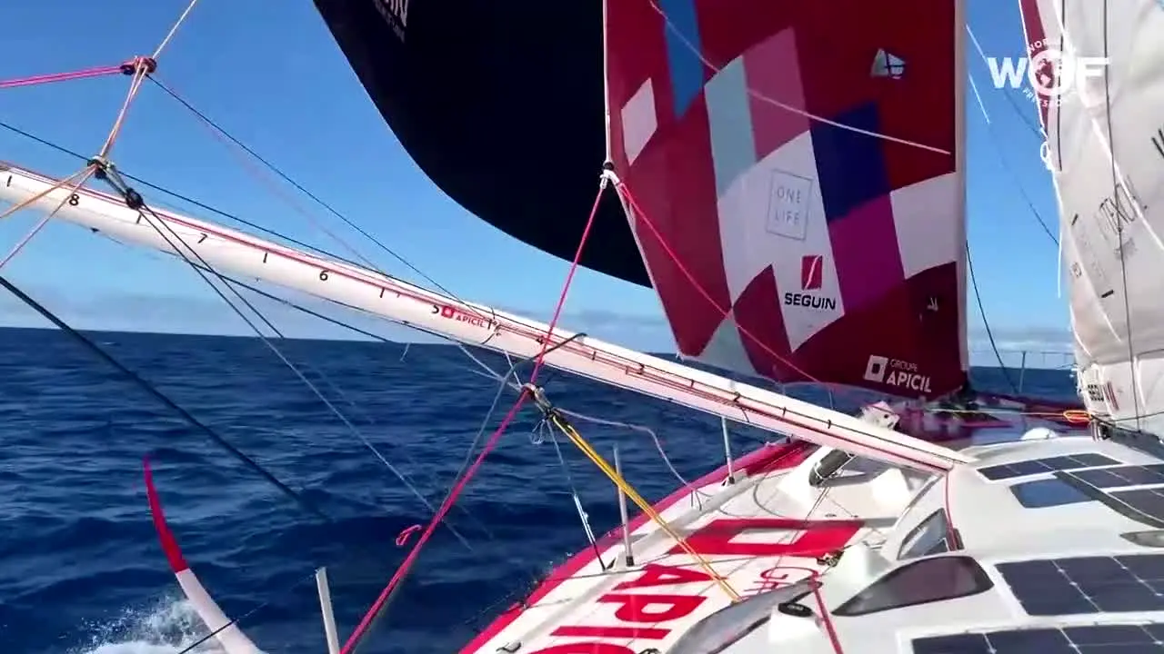 World of Freesports live