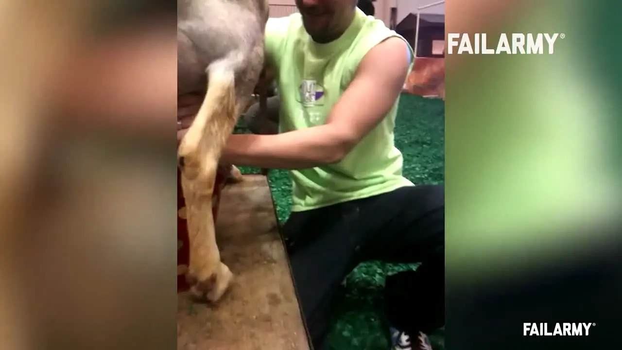 FailArmy live