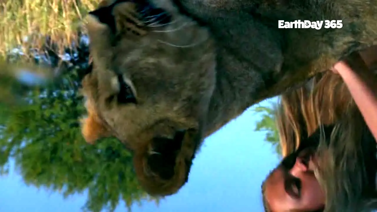 EarthDay 365 en vivo