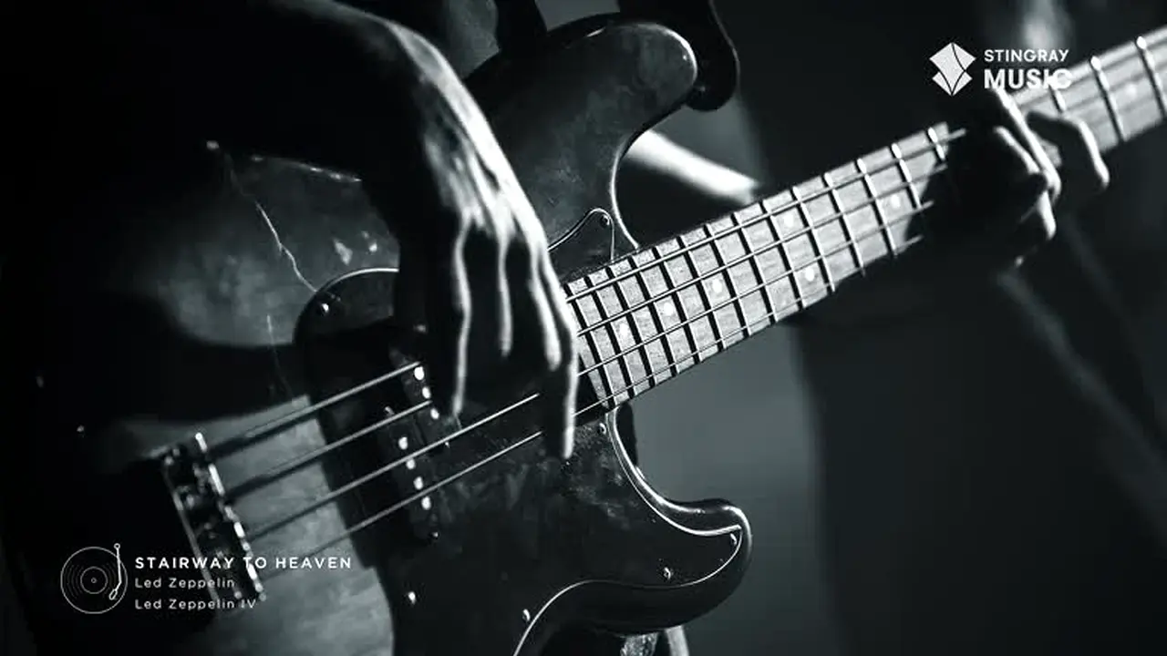 Stingray Classic Rock live
