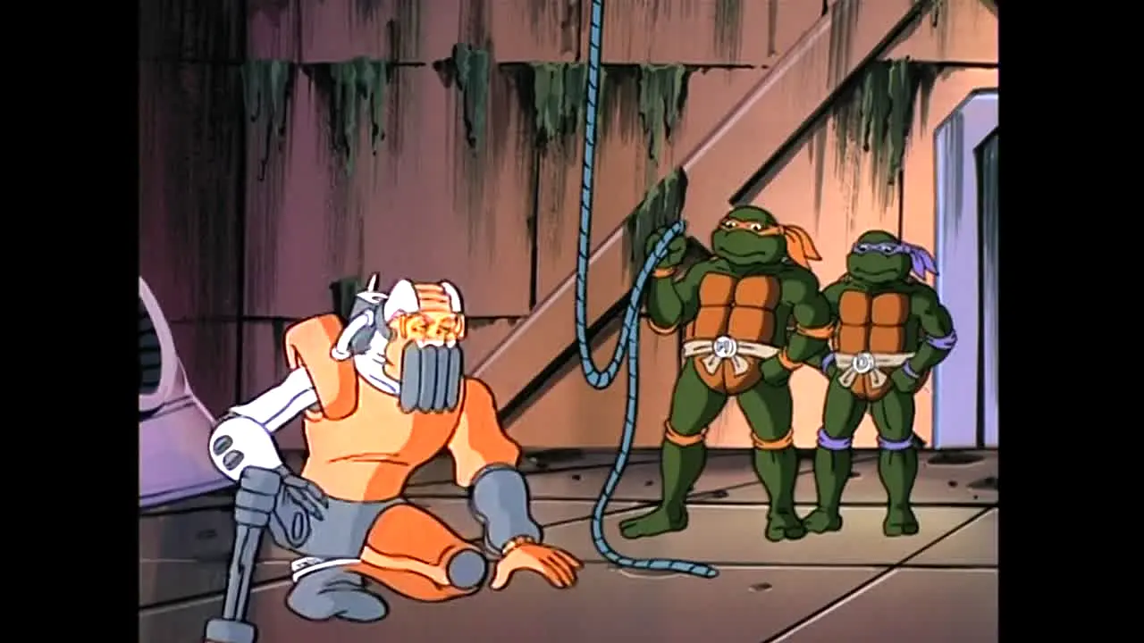 Totally Turtles live