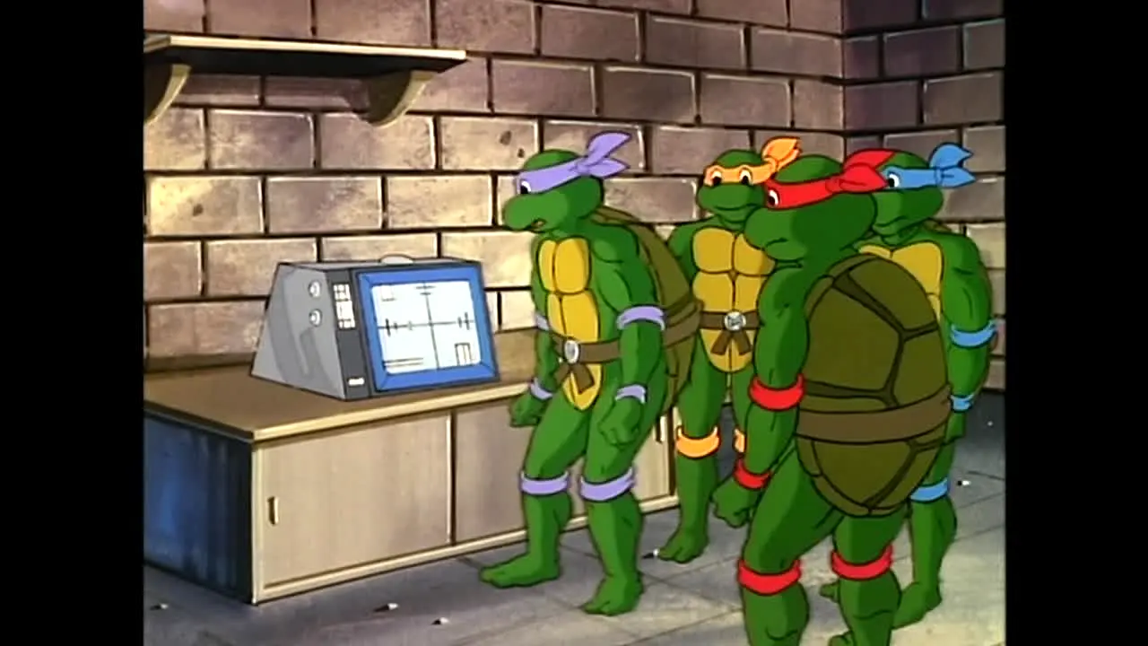Totally Turtles live