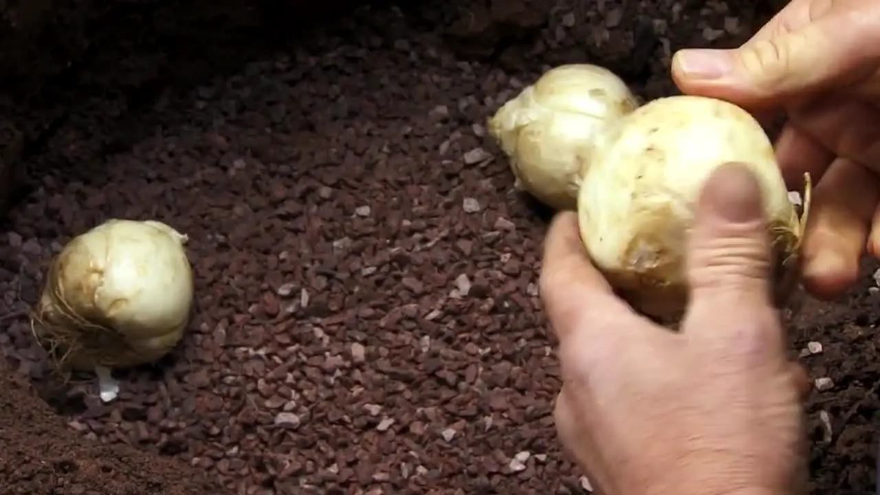 Gardeners' World ao vivo