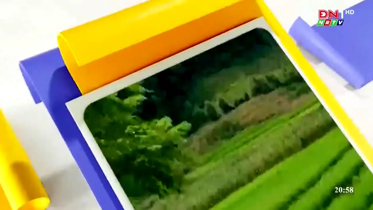 Đồng Nai 1 live