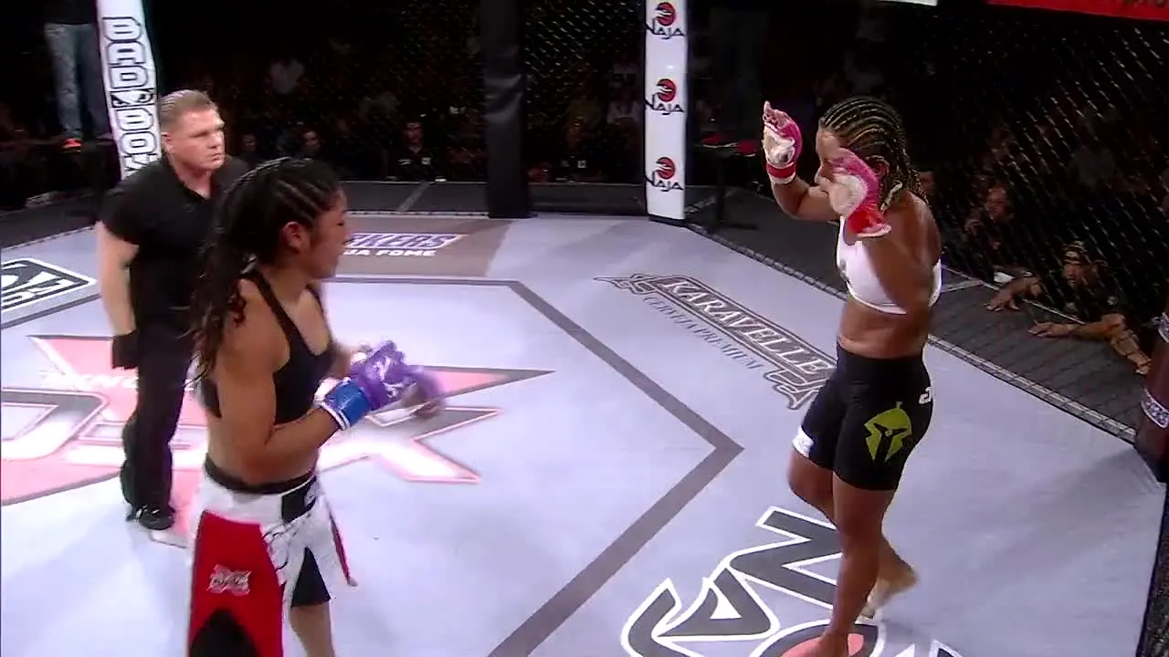 XFC TV en direct