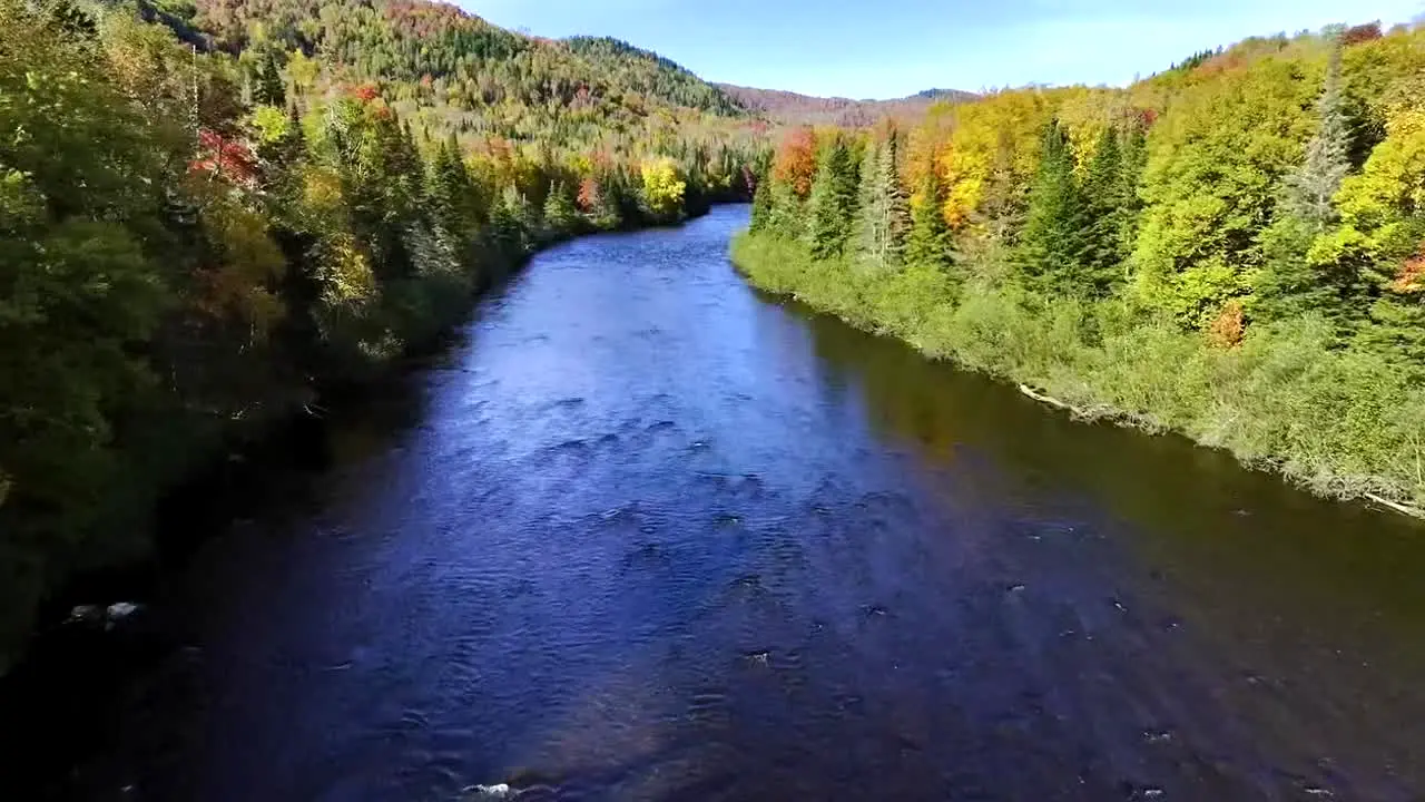 Fall Vibes in diretta