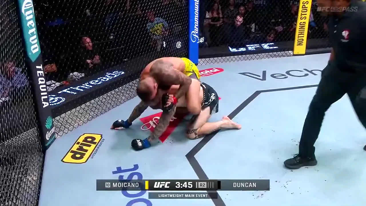 UFC en vivo