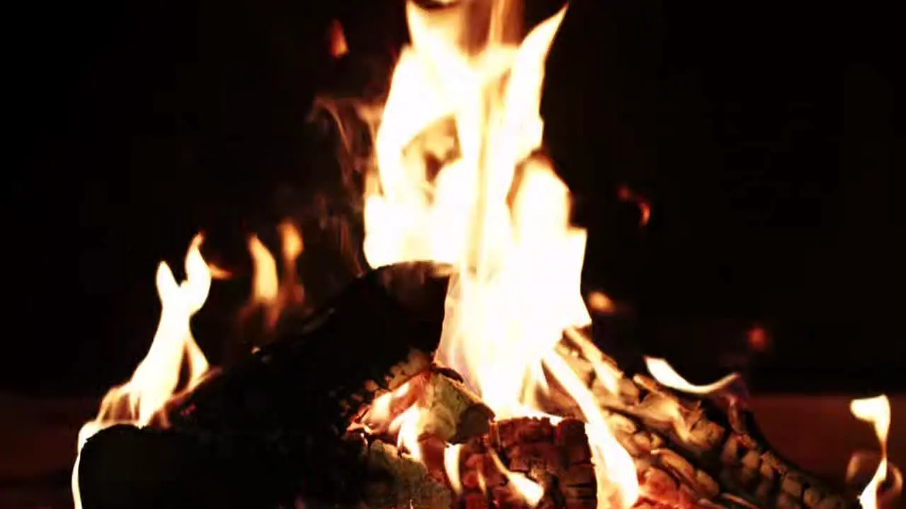 Fireplace Vibes live