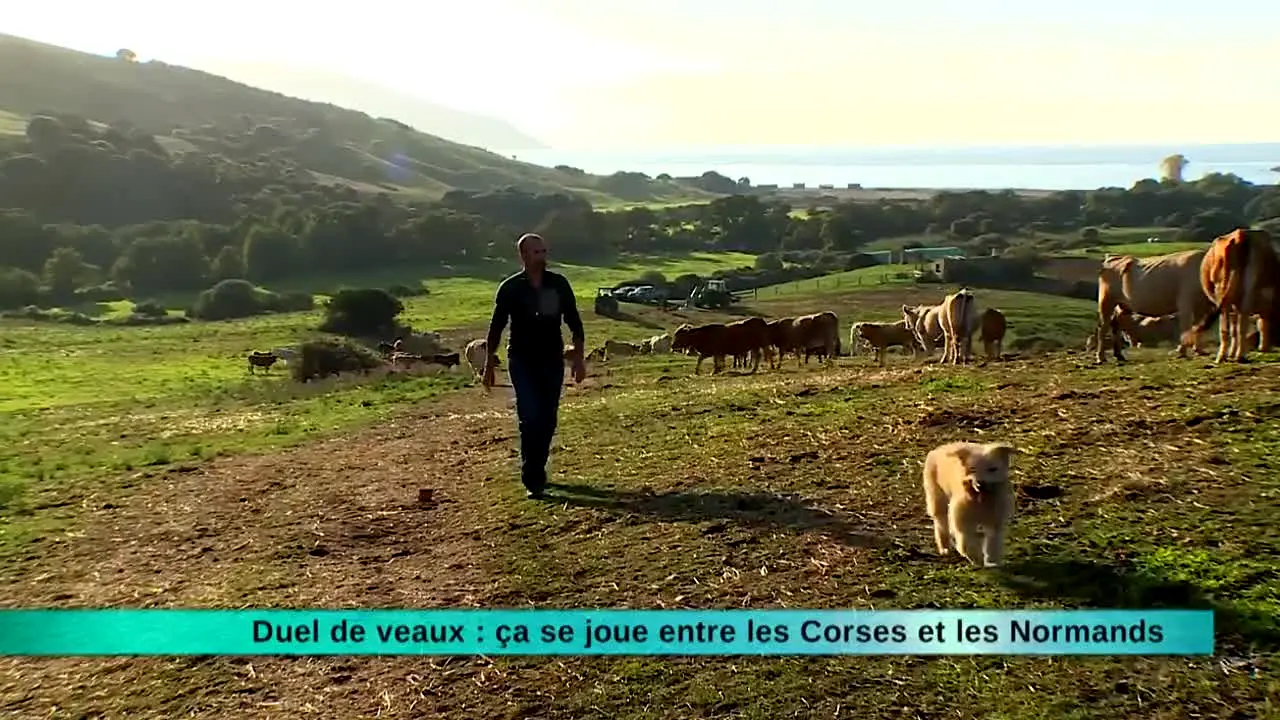 Les Secrets de Nos Regions live
