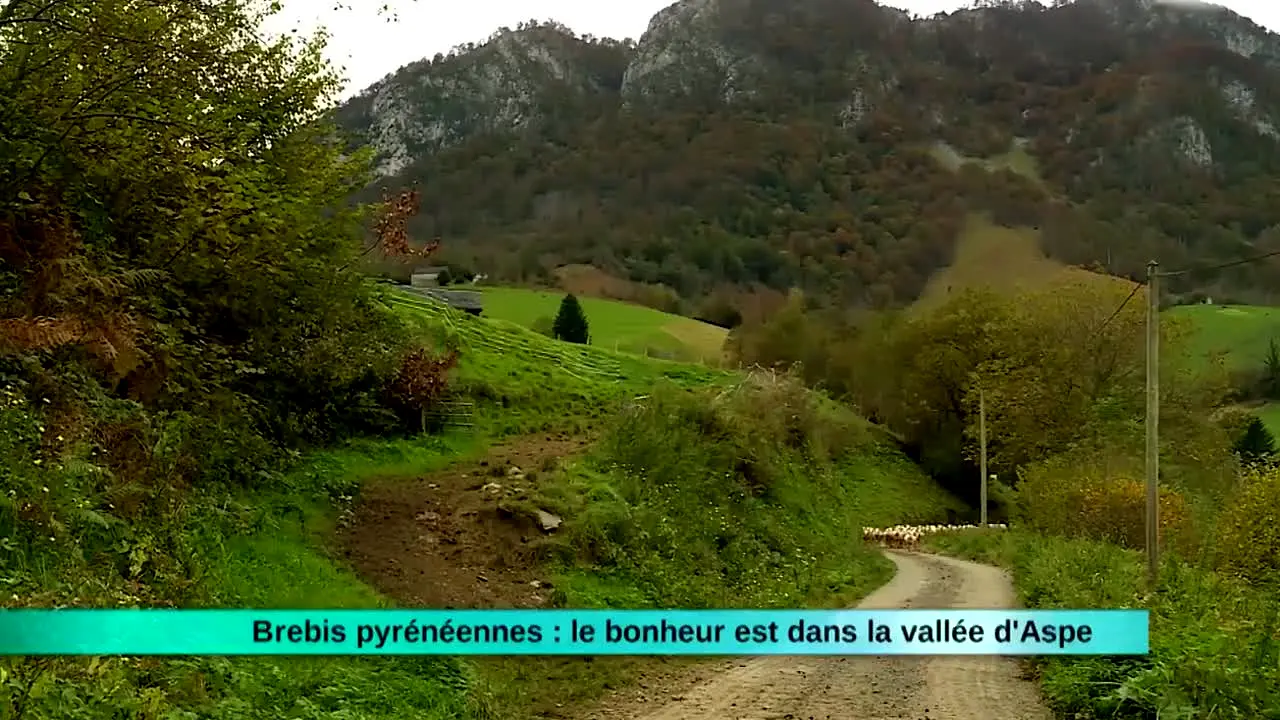 Les Secrets de Nos Regions in diretta