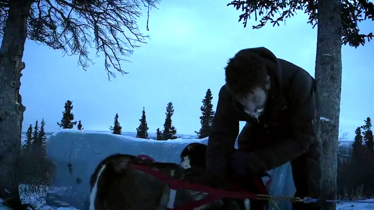 Life Below Zero live