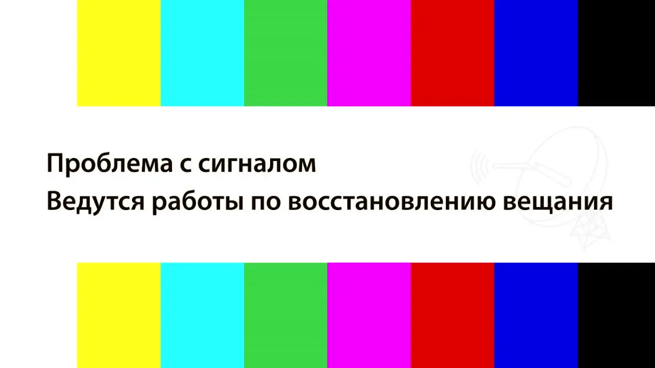 Duma TV live