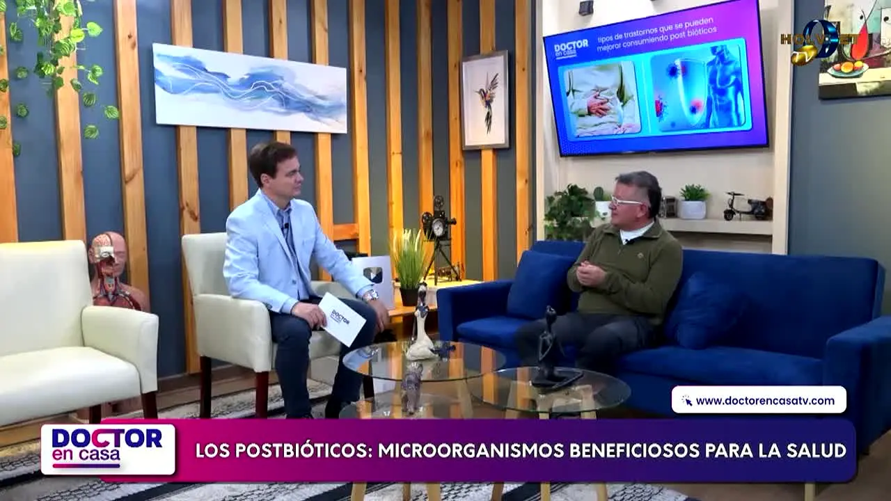 Holvoet TV live