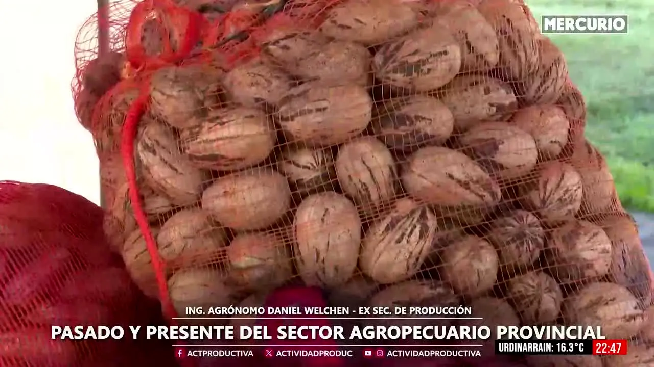 Mercurio Noticias live