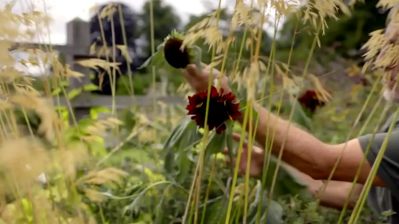 Gardeners' World — прямой эфир