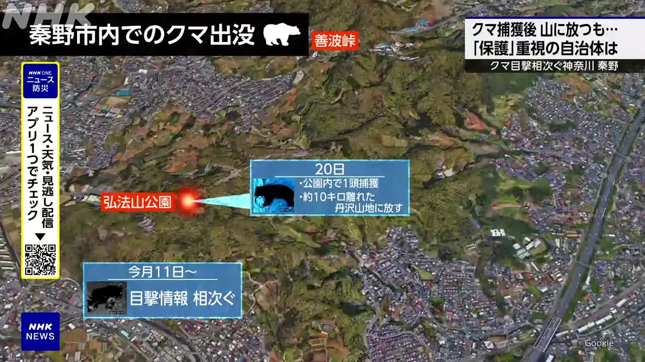 NHK World Premium live