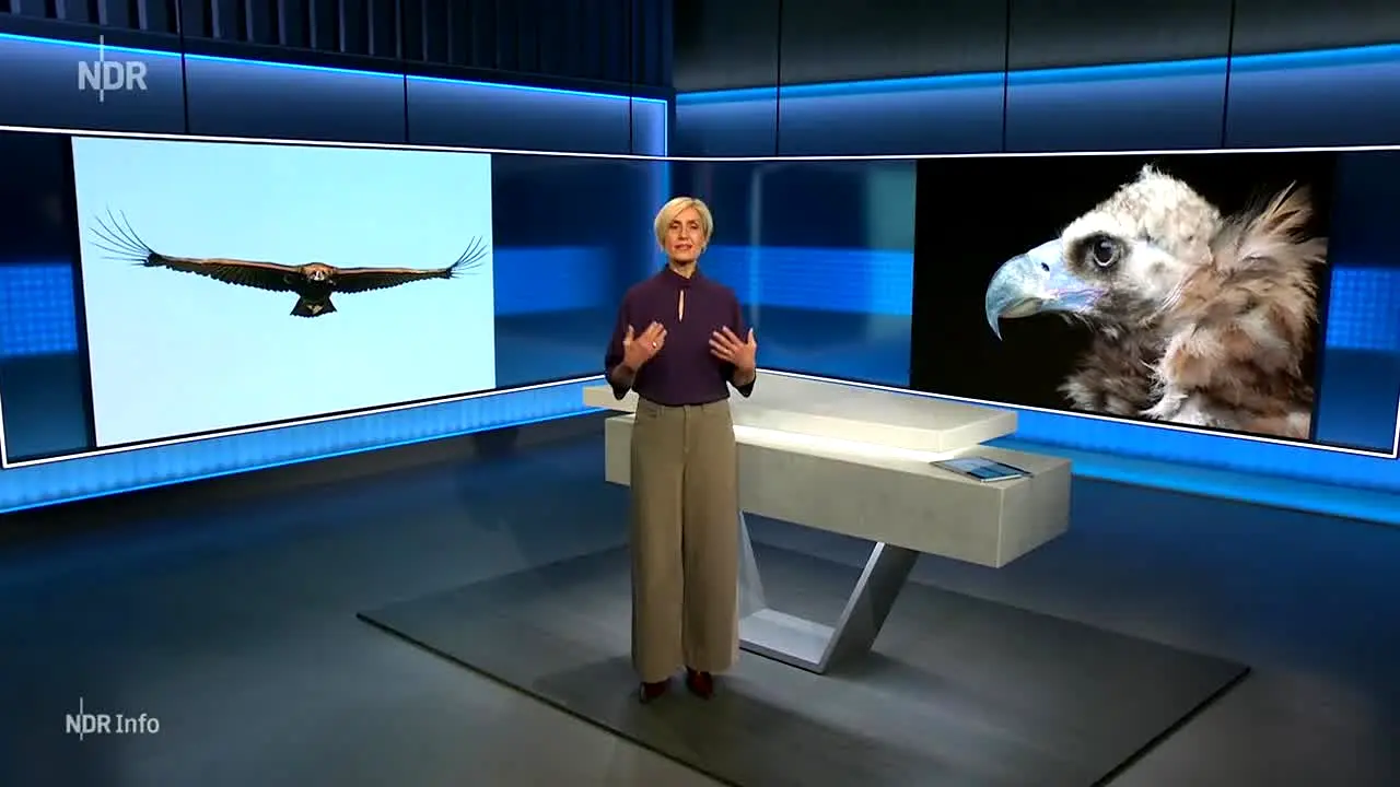 NDR Schleswig-Holstein en direct