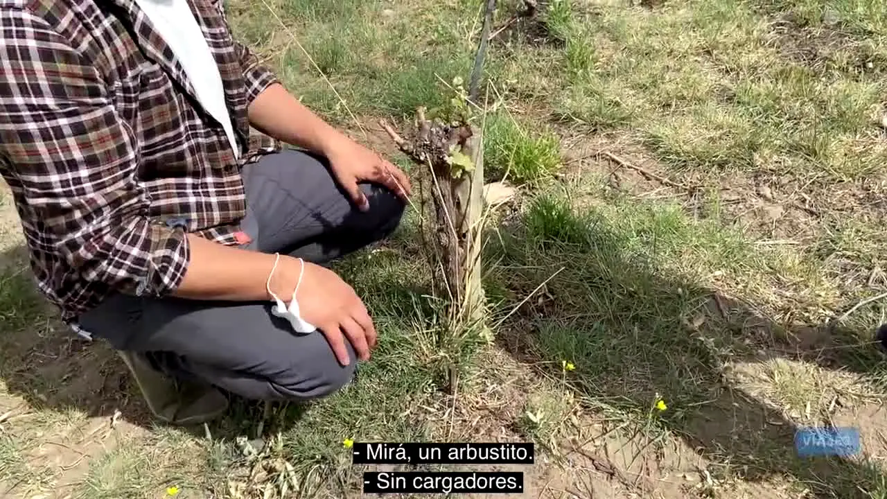 Tastemade Viajes live