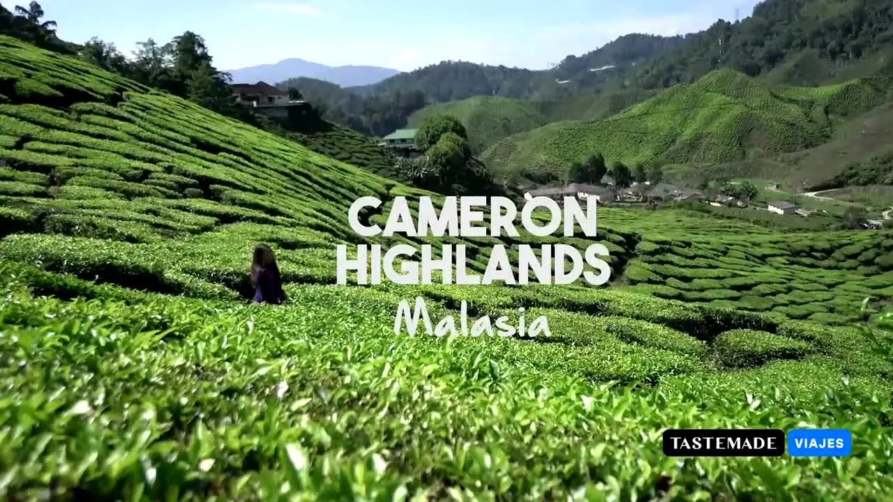 Tastemade Viajes na żywo