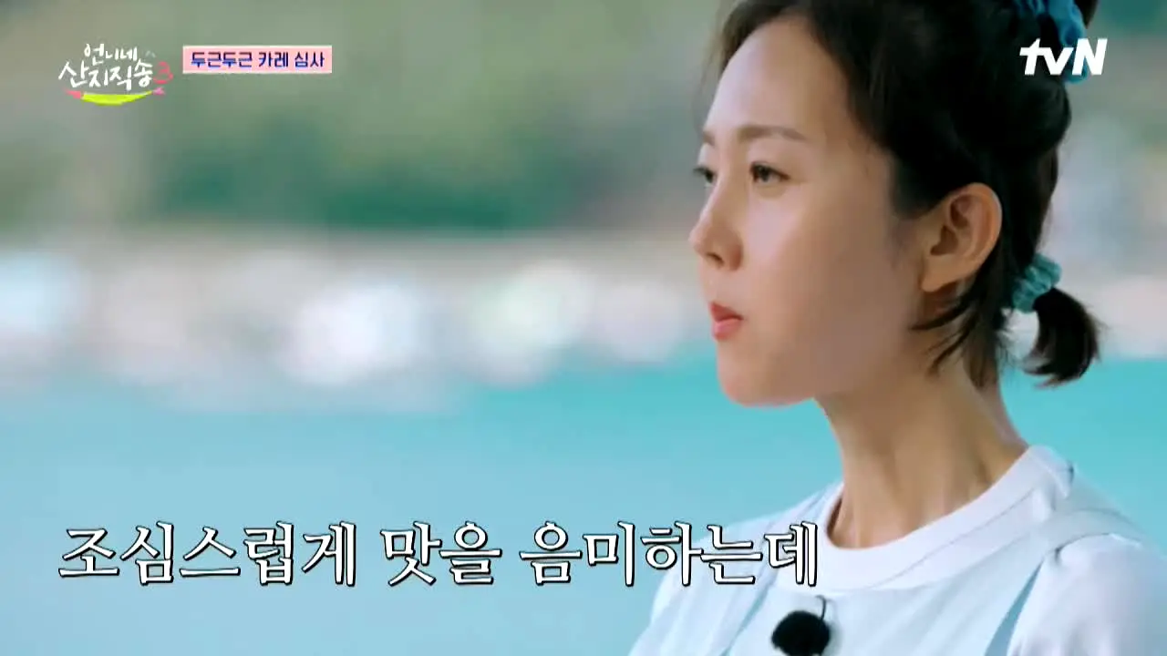 tvN 언니네 산지직송 전 시즌 이어보기 live