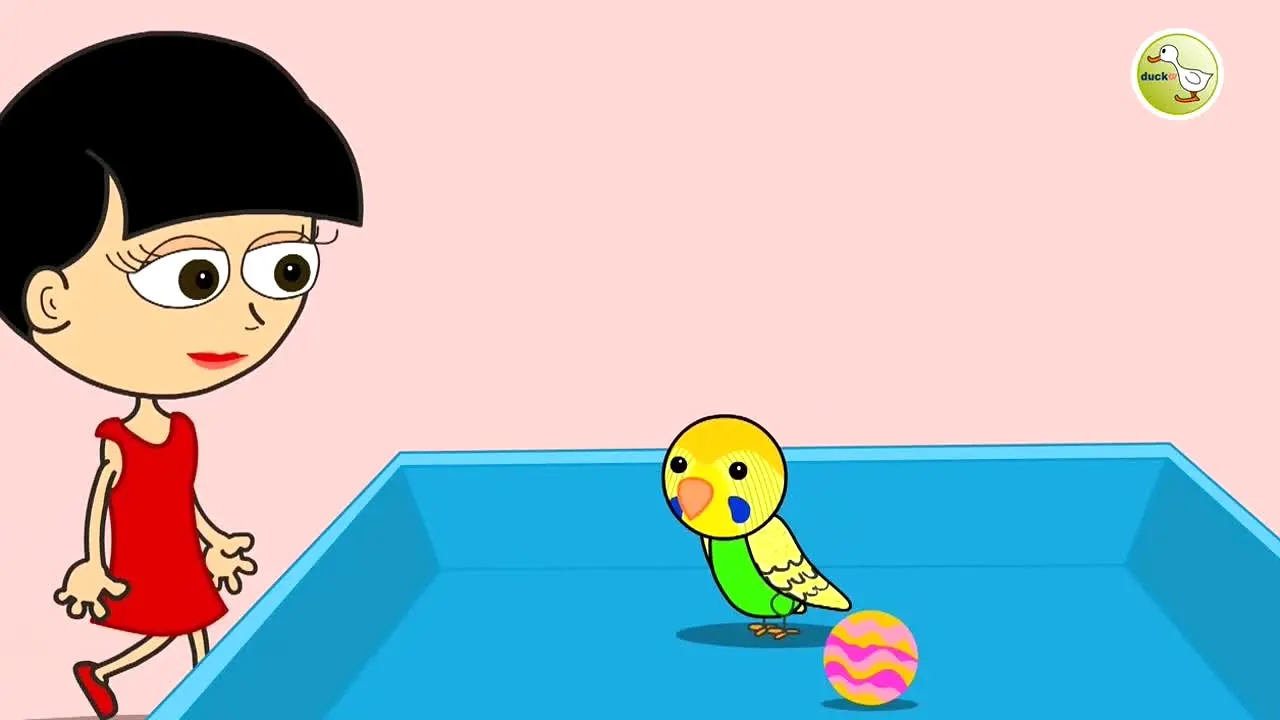 ducktv en vivo