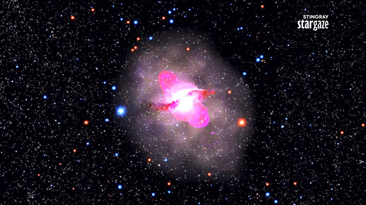 Stingray Stargaze live