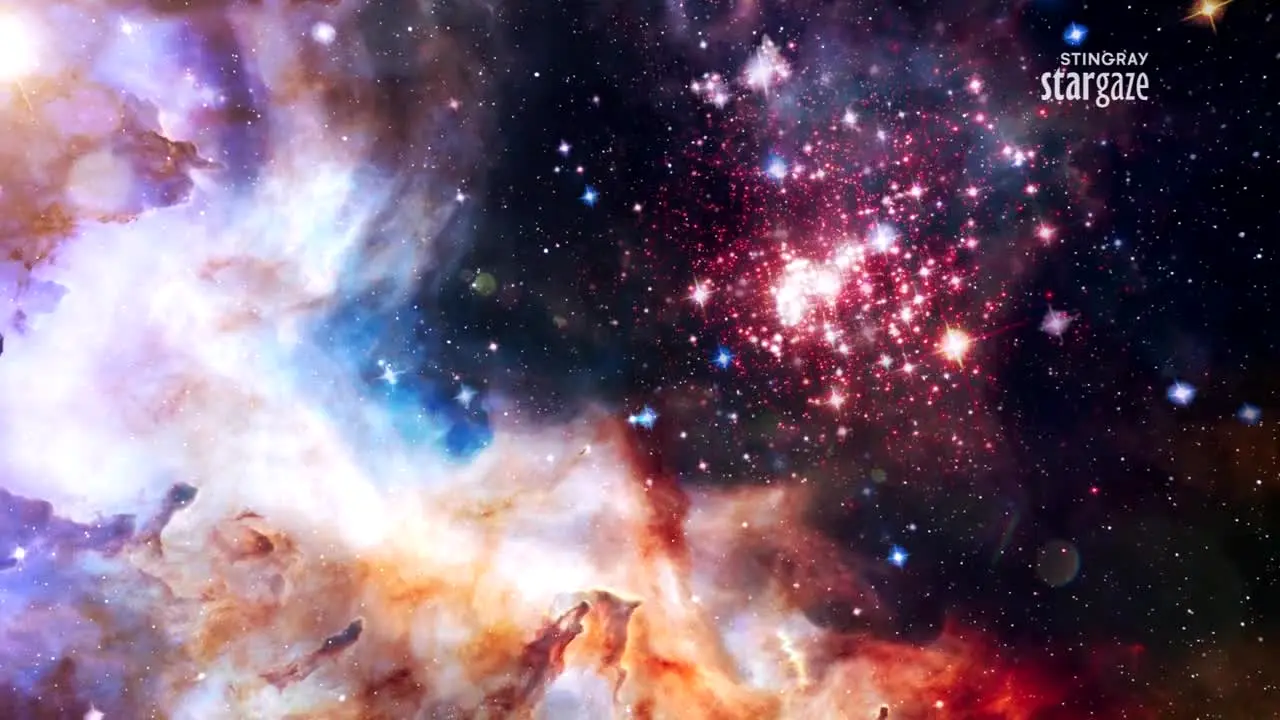 Stingray Stargaze live