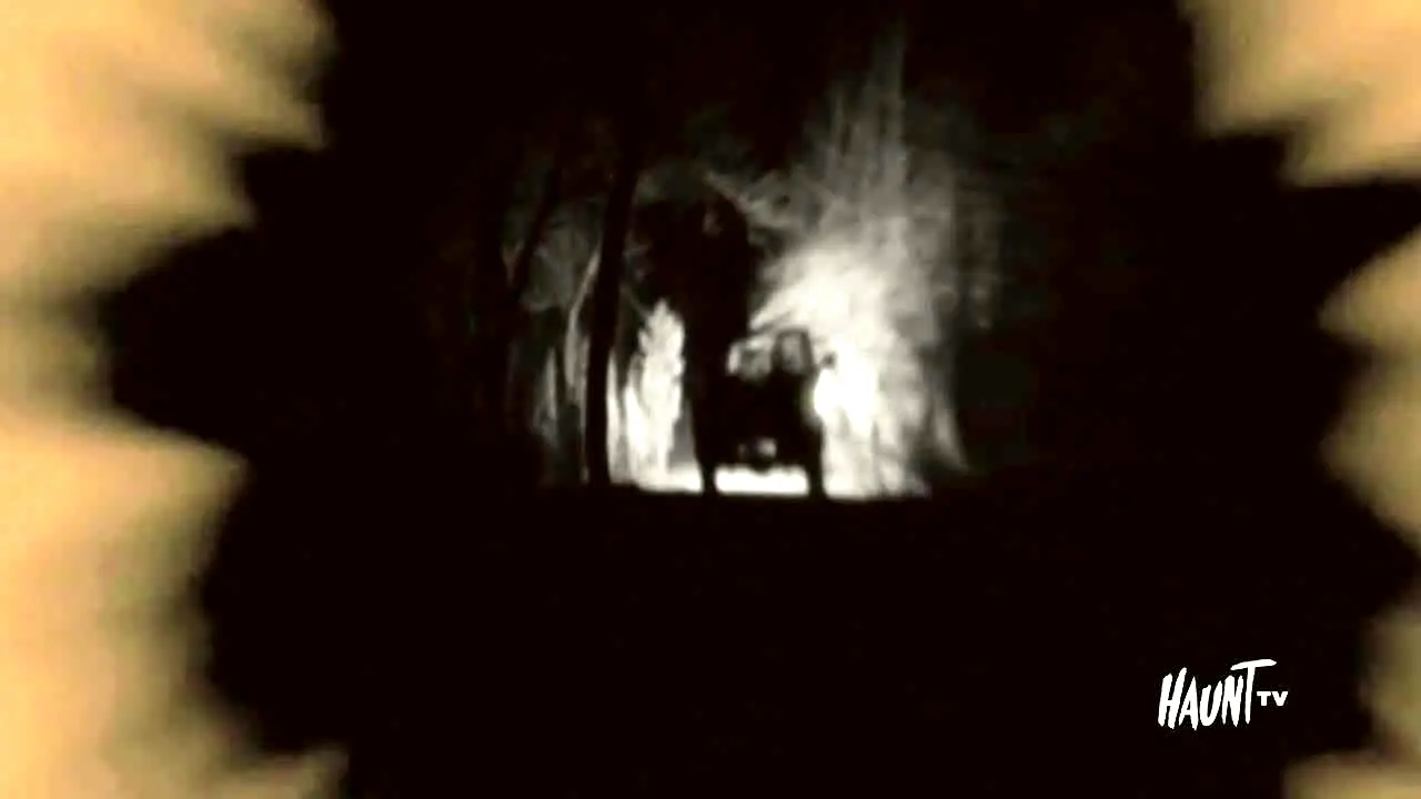 Haunt TV ao vivo