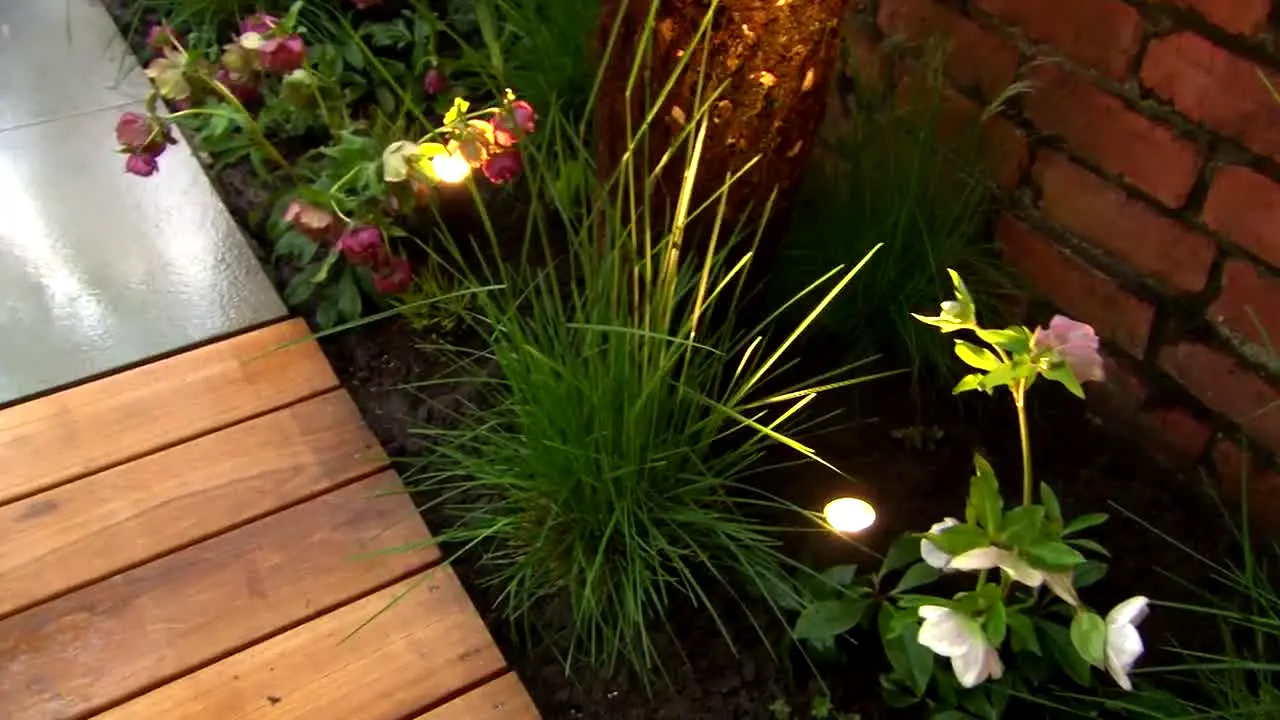 Garden Rescue live