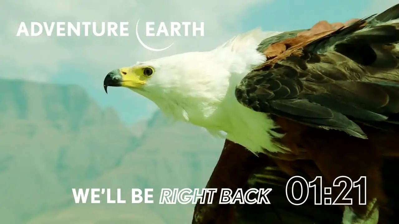 Adventure Earth live