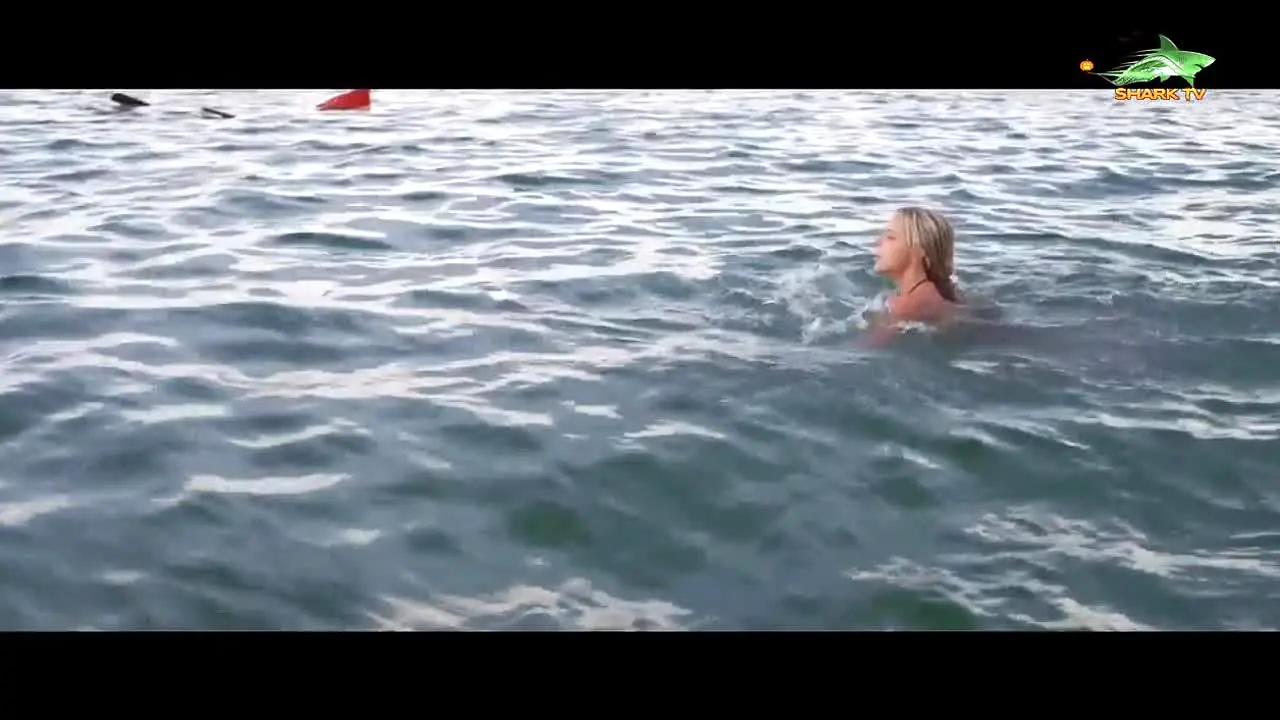 Shark TV live