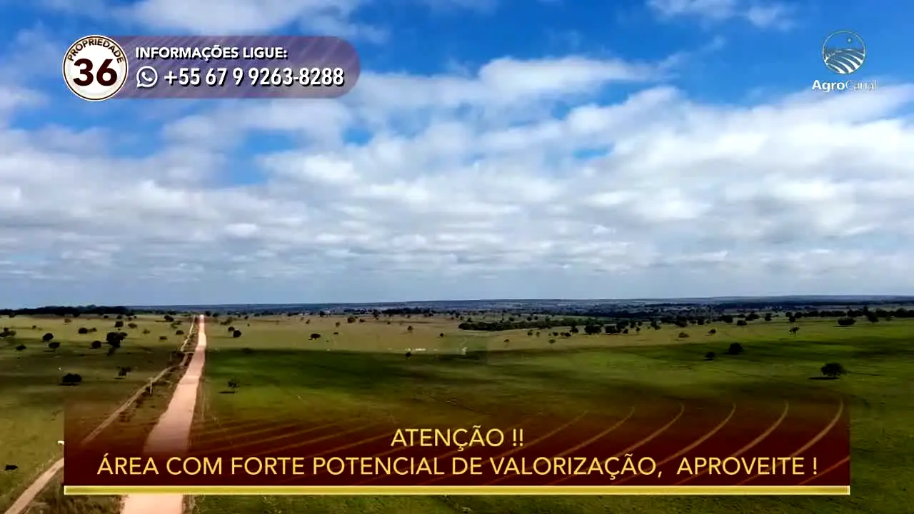 AgroCanal live
