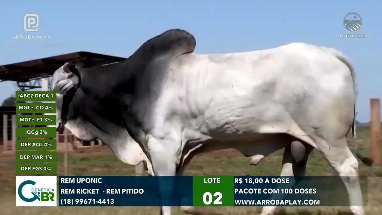 AgroCanal live
