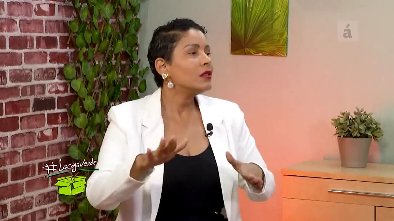 Acento TV ao vivo