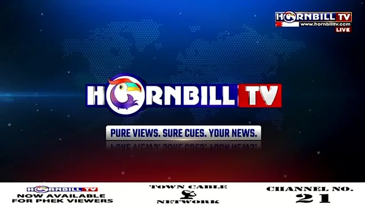 Hornbill TV live