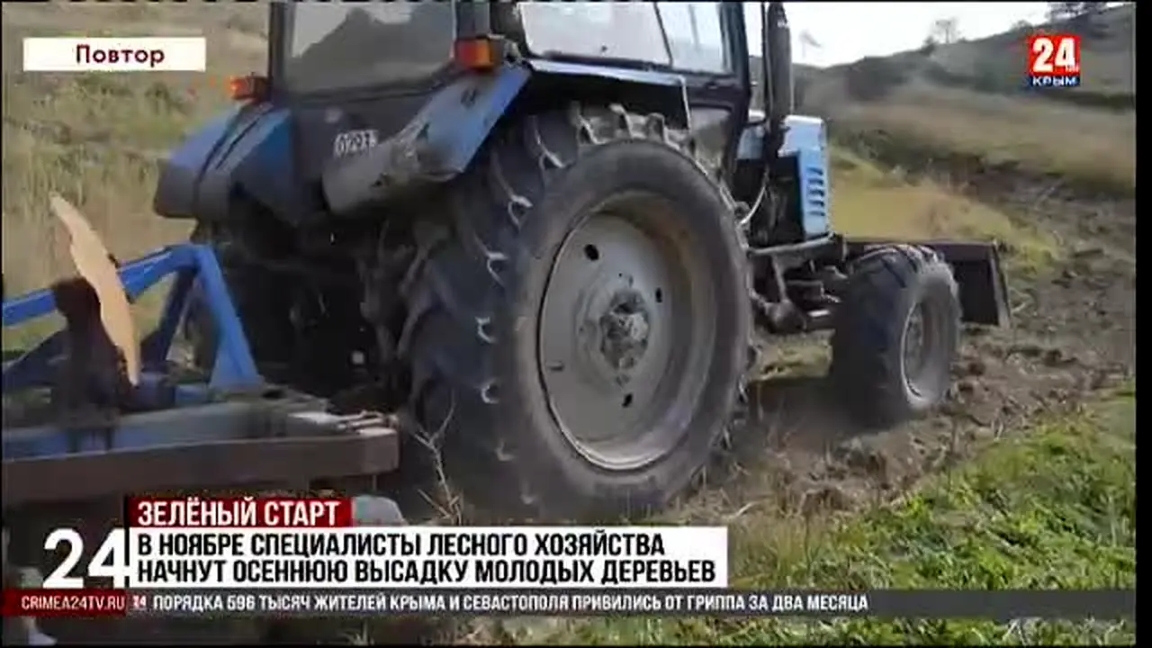 Крым 24 live