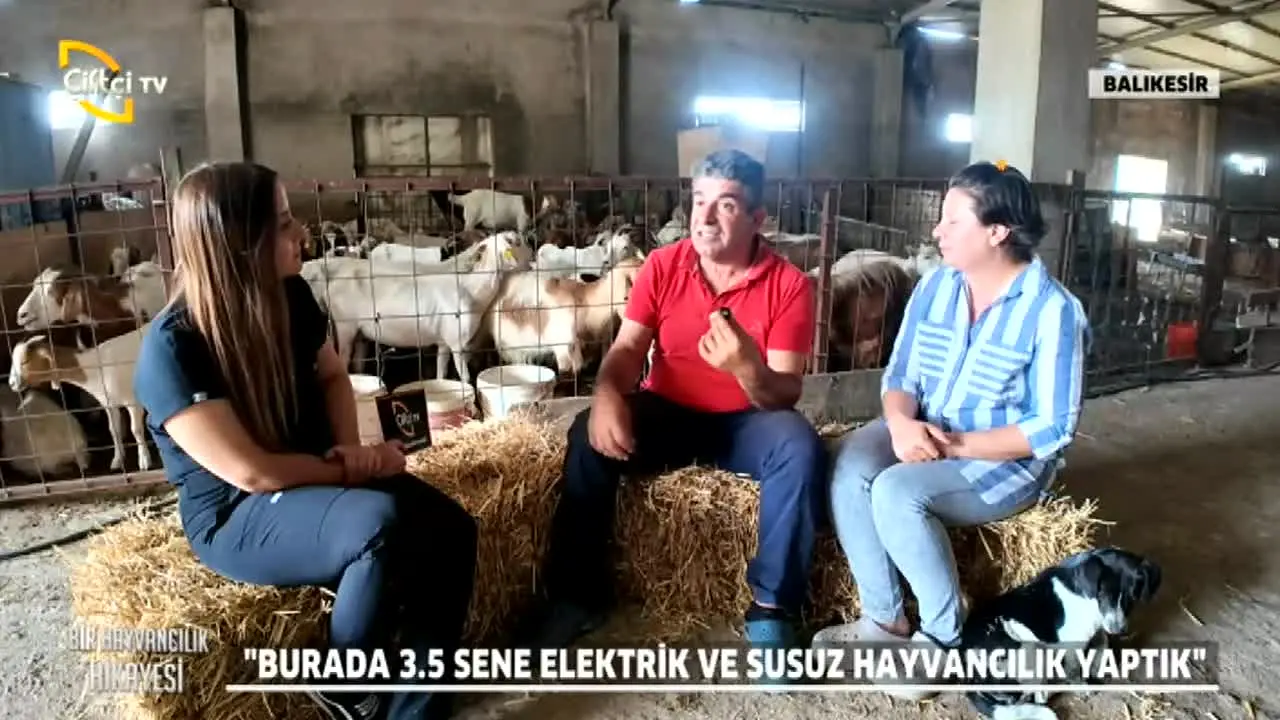 Ciftci TV — прямой эфир