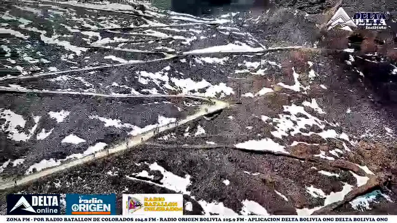 Delta TV en vivo