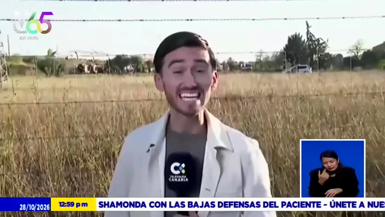 Venevisión Internacional live