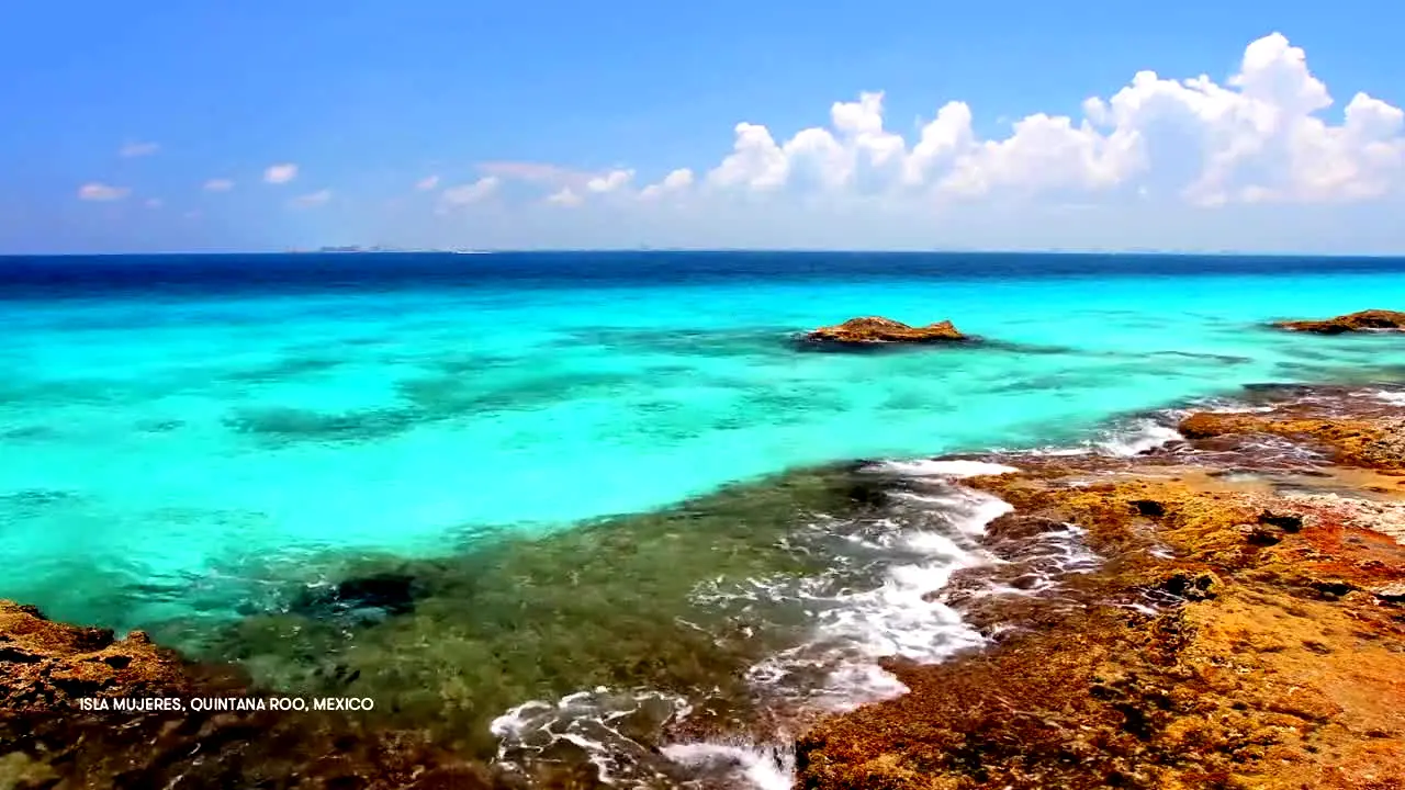 Stingray Naturescape live