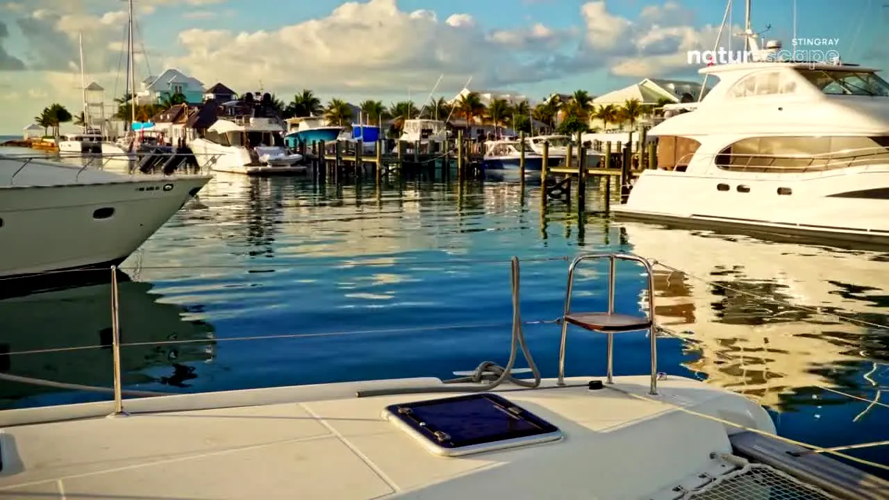 Stingray Naturescape en direct