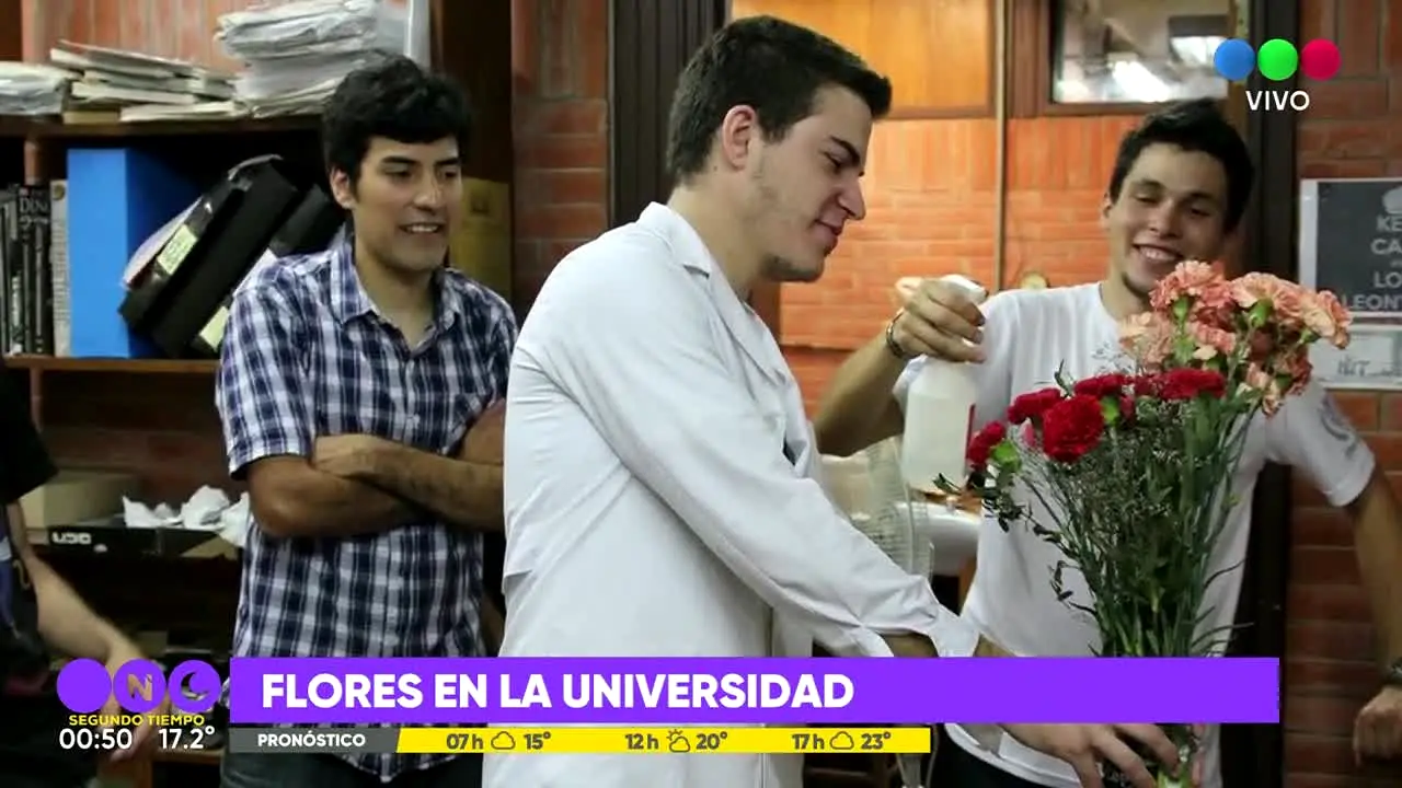 Telefe live